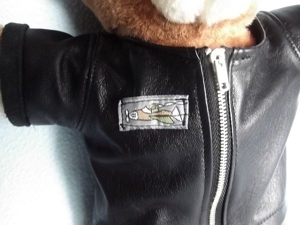 vliegtuig badge vliegtuig badge
